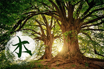 五行职业对照表 怎么看职业的五行属什么