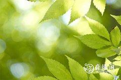 中考第三天爸爸穿什么颜色的衣服 水命人穿衣推荐