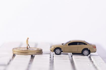 属鼠可以开棕色的车吗