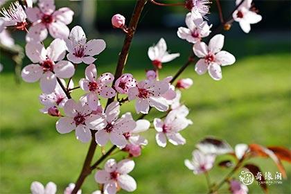 91年4月23日是什么命
