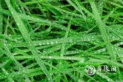 2023年5月17日出殡吉利吗 18日出殡吉利吗