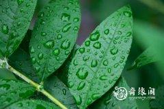 2023年7月25日订婚好还是26日订婚好