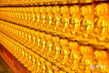 属猴金命住几楼好风水