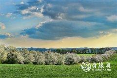 2023年属兔宝宝6月9日和10日办满月酒吉利吗