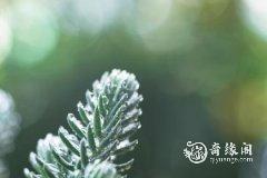 2023年兔年7月23日和24日哪天结婚好