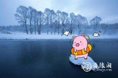 <b>属猪2023.2.17运势 随声趋和</b>