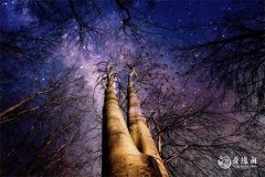 属虎人农历十二月出生哪天出生好 属虎几月出生最好