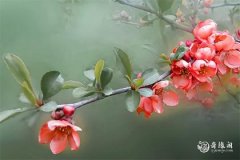 2023年8月10日吉时是什么时候，2023年8月10日吉时查询