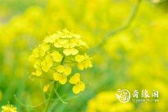 2023年7月9日吉时是什么时候，2023年7月9日吉时查询