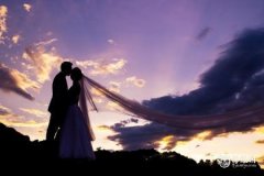 真心爱属猪女的属相男 属猪女几岁遇真爱