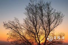 长沙重阳节吃什么 重阳节的风俗主题是什么