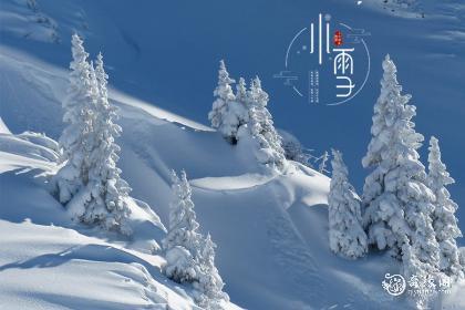南京小雪吃什么