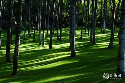 最会收拾男人的生肖女