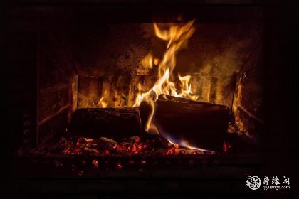 属虎火命住几楼好风水