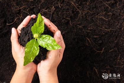 属虎土命住几楼好风水