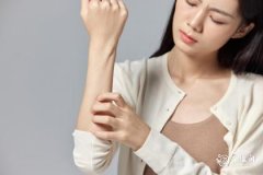 最有本事的生肖女 实力一等一