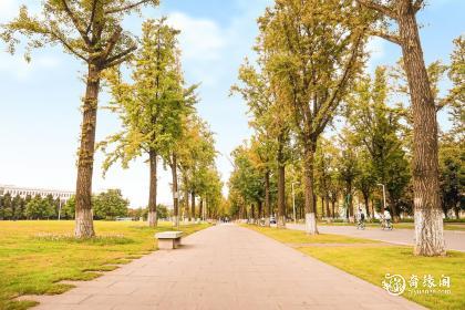 属牛木命住几楼好风水