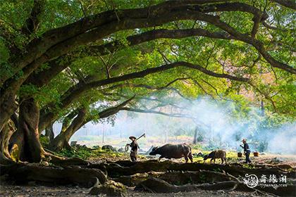 日干壬戌是什么意思