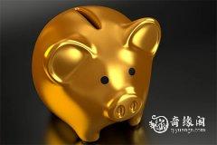 <b>属猪2023.1.1运势 交心畅谈</b>