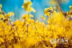 兔年2023年7月21日和22日哪天搬家好