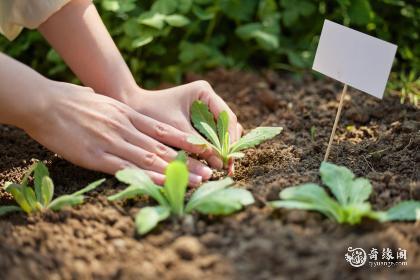 属鼠土命住几楼好风水