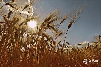 92年6月28日是什么命
