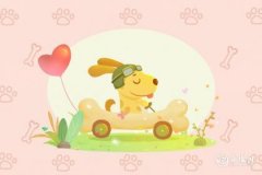 属狗能穿黑色吗 属狗的旺运色