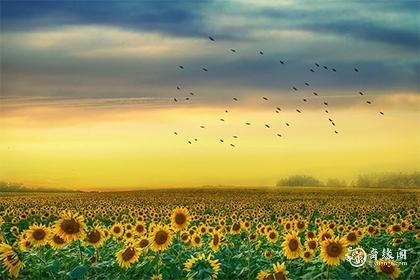 2024年旧爱回头的生肖