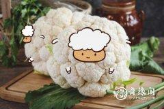 <b>属羊2023.2.2运势 不注重细节</b>