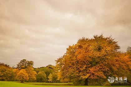 气质镇得住全场的生肖女