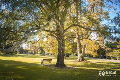 女孩带轩的名字