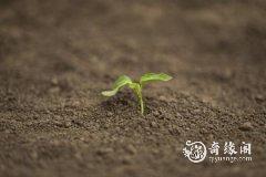 土命人适合什么颜色 土命人五行缺什么