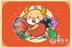 女牛男虎适合做夫妻吗 牛虎在一起注意事项