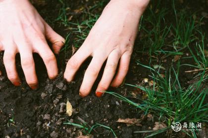 属鼠土命住几楼好风水