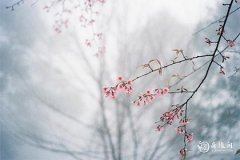 阳历11月又叫什么月 一月到十二月的古称是什么