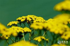 2023年8月4日吉时是什么时候，2023年8月4日吉时查询