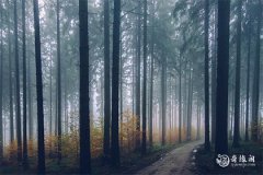 15有什么寓意 易经中最吉利的数字