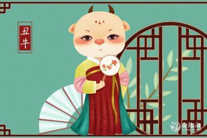 属牛养猫会带来什么运气