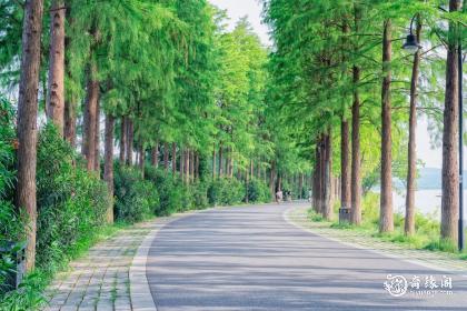 属虎木命住几楼好风水