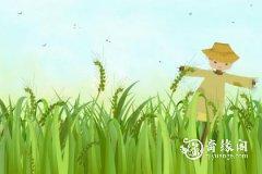 2023年5月19日、20日开张好不好