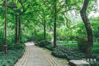 属猪木命住几楼好风水