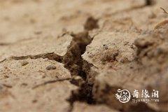 五行属土的最佳行业是什么 土命适合去哪发展