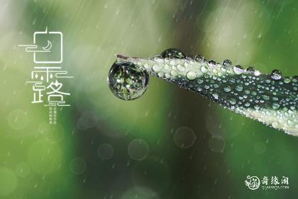 湖北白露时节吃什么