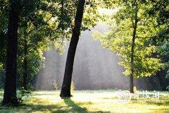 2023年兔年6月25日和26日哪天适合嫁娶