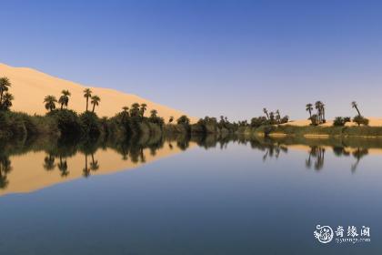 女孩带佳的好名字大全