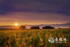 2023年6月8日高考妈妈穿什么颜色衣服 阴阳五行颜色对照表