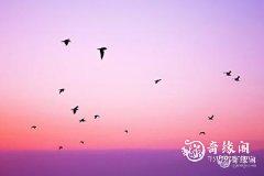 天泽履卦详解事业 天泽履卦是好卦还是坏卦