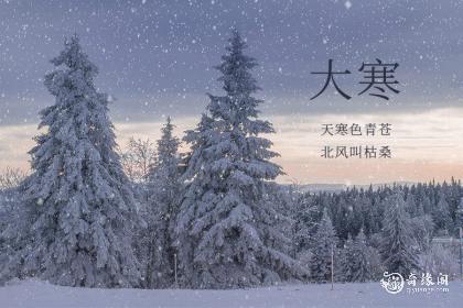 山东大寒吃什么
