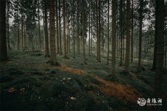 2023年6月5日提车好还是6日提车好