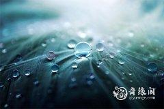 销售行业五行属什么 销售公司的风水禁忌